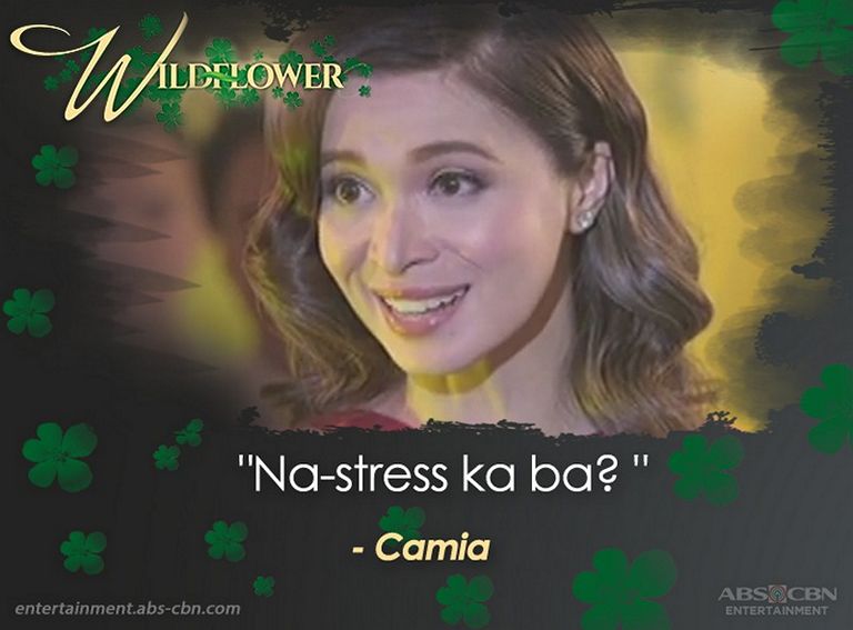 Wildflower unforgettable quotes | ABS-CBN Entertainment